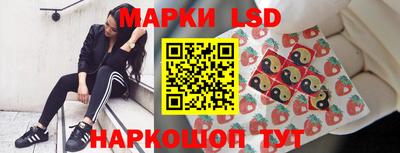 стафф Заводоуковск