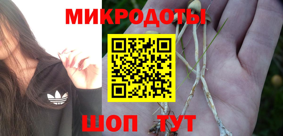 Миасс  Галлюциногенные грибы мухоморы  Вход с VPN 